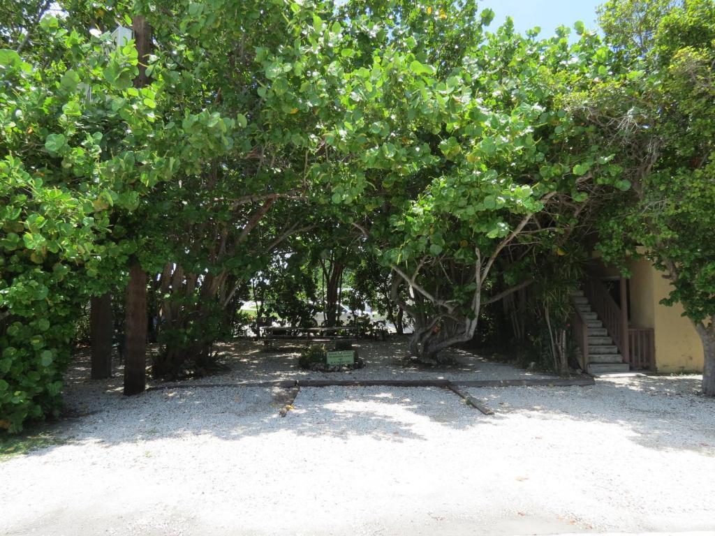 Ed & Ellen'S Lodgings Key Largo Motel Exterior foto