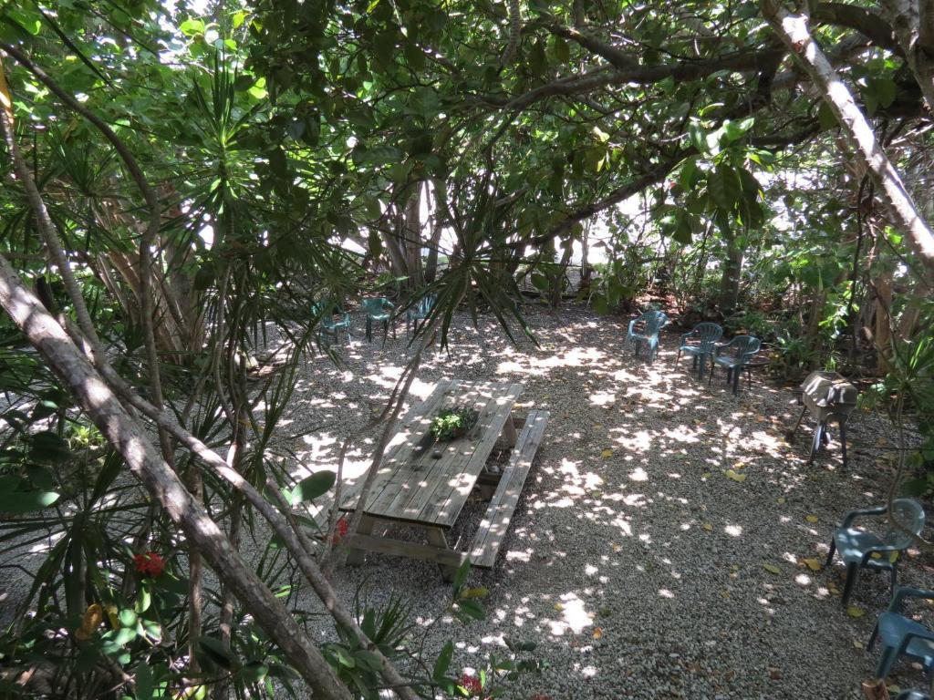 Ed & Ellen'S Lodgings Key Largo Motel Cameră foto